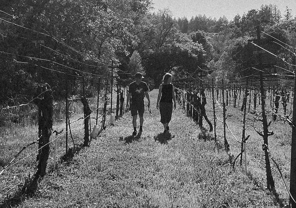 Kenny and Lynn walking through a vineyard